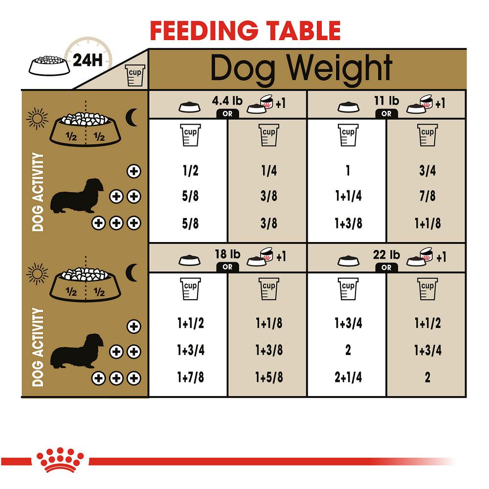 Brown Dachshund Dog Measuring Chart Magnet Set Kitchen Cooking and Baking  Guide