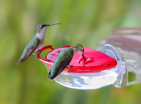 Aspects Gem Hummingbird Window Feeder (4 oz)