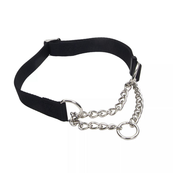Coastal Pet Adjustable Check Training Collar for Dogs (Medium - 3/4