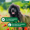 Advantage Dog Flea Treatment Spray