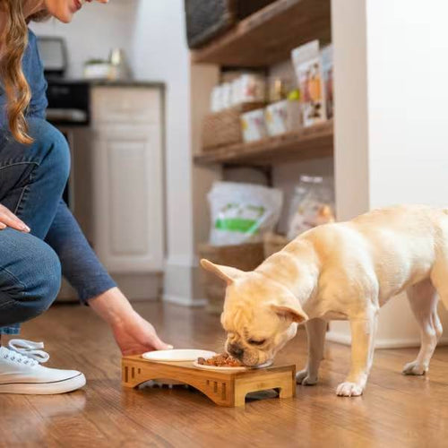 Dr.Harvey's Veg-To-Bowl Grain-Free Dog Food Premix