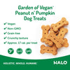 Halo Healthsome Vegan With Peanut 'n Pumpkin Flavored Dog Treats
