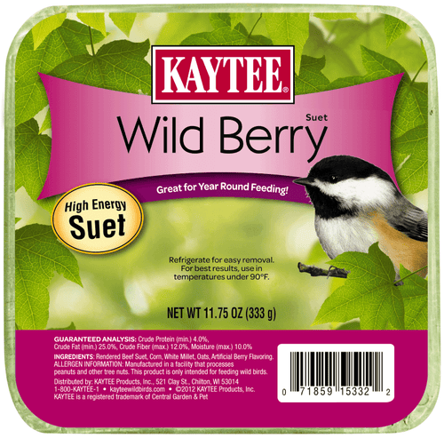 Kaytee Wild Berry Suet (11.75 Oz)