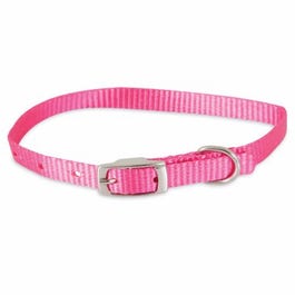 Dog Collar, Hot Pink, 3/8 x 12-In.