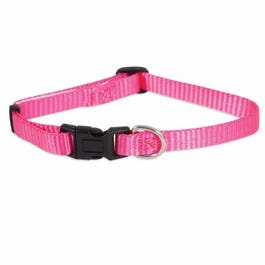Adjustable Dog Collar, Hot Pink, 3/8 x 8-14 In.