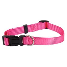 Adjustable Dog Collar, Hot Pink, 5/8 x 10-16-In.