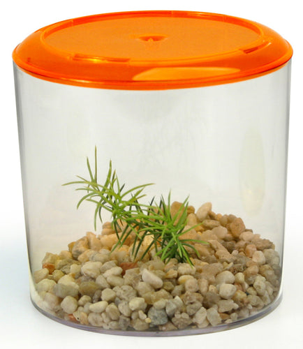 Lee's Aquarium & Pet Products Betta Keeper, Round (36oz with Gravel & 40oz without Gravel)