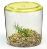 Lee's Aquarium & Pet Products Betta Keeper, Round (36oz with Gravel & 40oz without Gravel)
