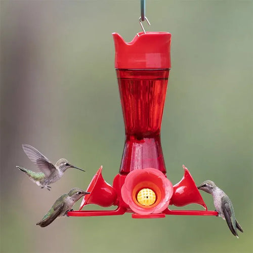Woodstream Perky-Pet® Pinch-Waist Red Glass Hummingbird Feeder (8 Oz Nectar Capacity)