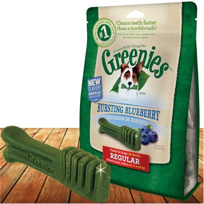 GREENIES™ Blueberry Flavor TEENIE™ Dog Dental Treats (12 oz)