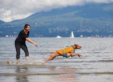 RC Pets TIDAL LIFE VEST - BEST DOG LIFE JACKET (Orange Medium)