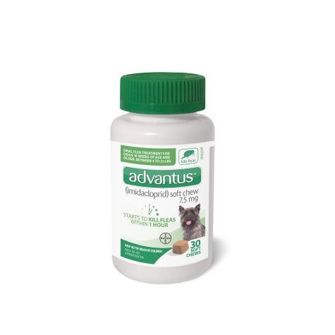 advantus® Small Dog Chew (7ct)