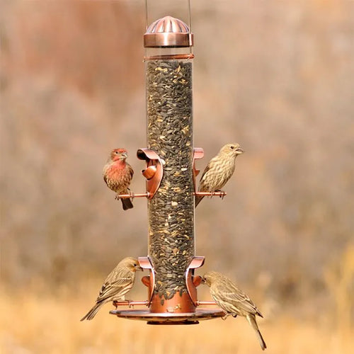 Woodstream Perky-Pet® Copper Finish 2-In-1 Wild Bird Feeder (2-In-1)