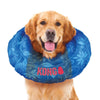 KONG Cushion Recovery Collar For Dogs & Cats