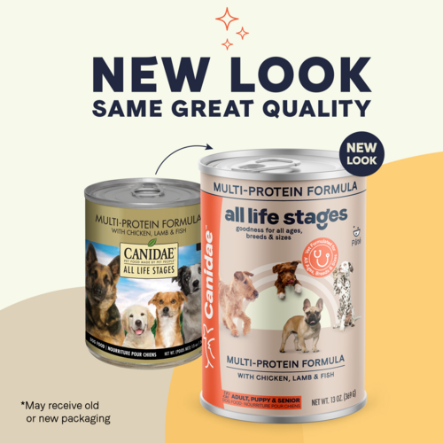 Canidae All Life Stages Wet Dog Food, Chicken, Lamb and Fish (13-oz, single can)