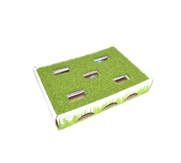 Petstages Grass Patch Hunting Box (1-Count)