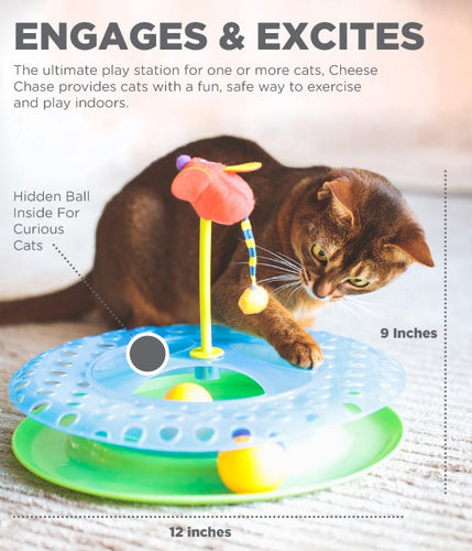 Petstages Cheese Chase (Blue)