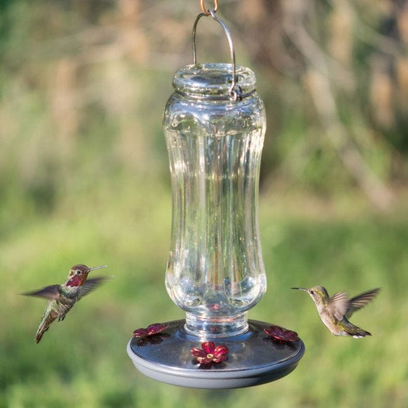 Woodstream Corporation Perky-Pet® Starglow Vintage Glass Hummingbird Feeder (16 fl oz)