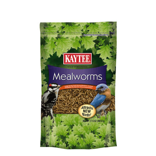 Kaytee Mealworms (17.6 oz)