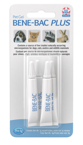 PetAg Bene-Bac® Plus Small Animal Gel (4 Pack)