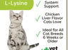 Vet Worthy Vet Worthy L-Lysine Soft Chew for Cats