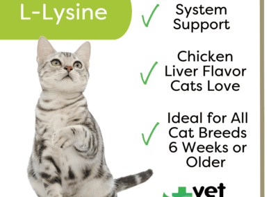 Vet Worthy Vet Worthy L-Lysine Soft Chew for Cats