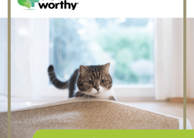 Vet Worthy Vet Worthy L-Lysine Soft Chew for Cats