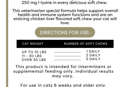 Vet Worthy Vet Worthy L-Lysine Soft Chew for Cats