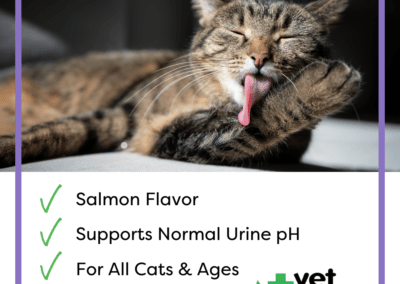 Vet Worthy Urinary Paw Gel for Cats