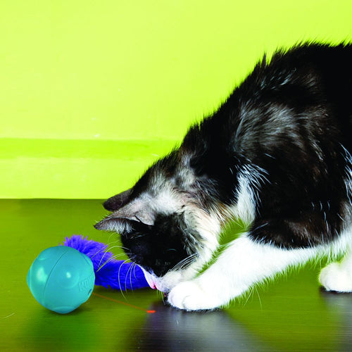 Kong Laser Craze Cat Toy (One Size, Teal)