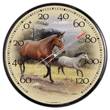 12.5  THERMOMETER HORSES