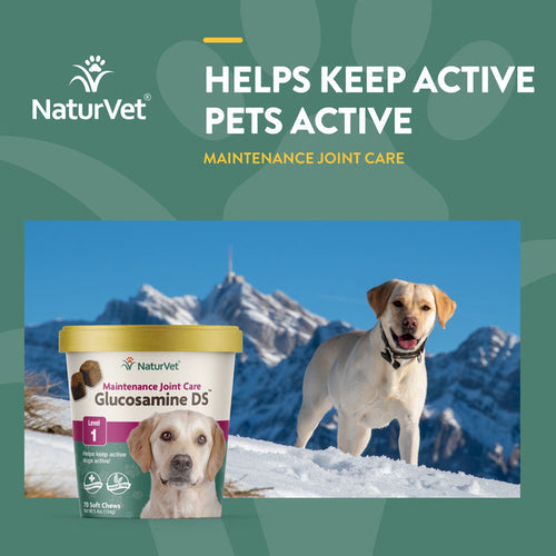 NaturVet Glucosamine DS™ Soft Chews (70 Ct)