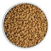 Bixbi Pet Rawbble® Dry Food for Dogs – Chicken Recipe (4LB)