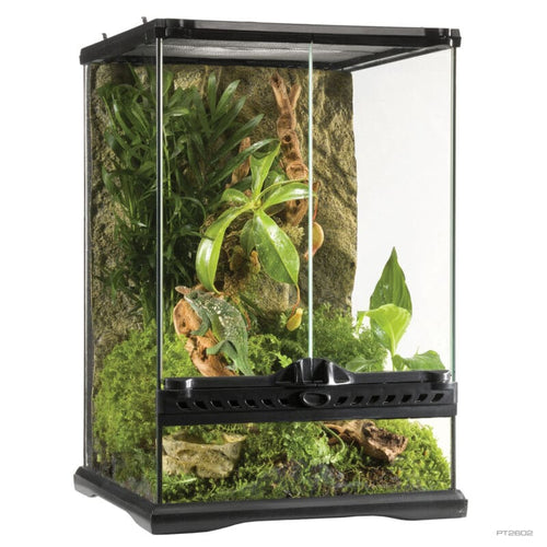 Exo Terra Glass Terrarium Mini Tall Advanced Glass Reptile Habitat (12 X 12 X 18 )