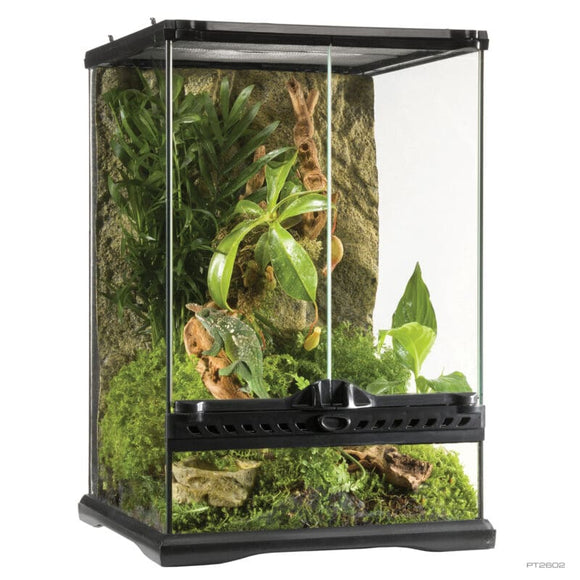 Exo Terra Glass Terrarium Mini Tall Advanced Glass Reptile Habitat (12 X 12 X 18 