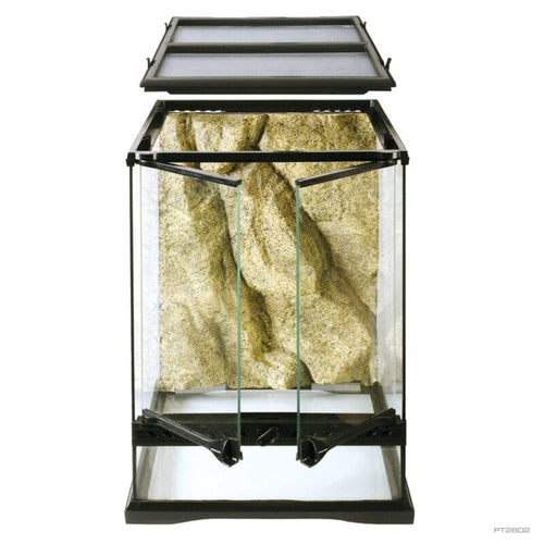 Exo Terra Glass Terrarium Mini Tall Advanced Glass Reptile Habitat (12 X 12 X 18 