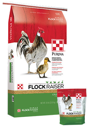 Purina® Flock Raiser® Crumbles (5 lb)