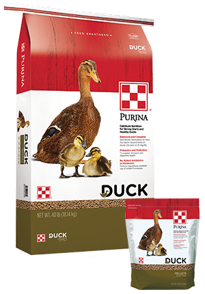 Purina® Duck Feed Pellets (5 Lb)