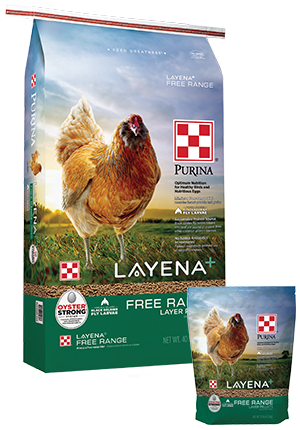 Purina® Layena®+ Free Range (10-lb)
