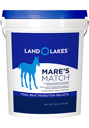Purina Land O'Lakes Mare’s Match Foal Milk Replacer Foal Transition Pellet Horse Supplement, 25-lb Pail (25-lb)