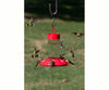 Songbird Essentials Dr. JB's 16 oz Clean Feeder All Red