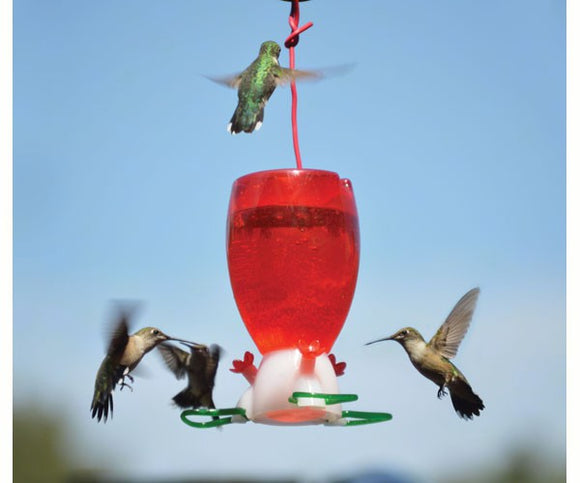 Songbird Essentials Big Red Hummingbird Feeder (1-Count)