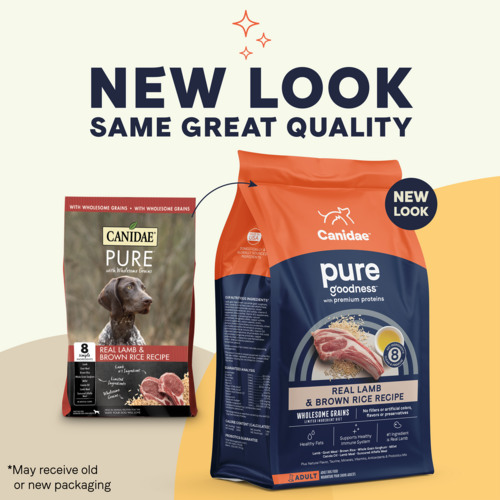 Canidae PURE with Wholesome Grains, Limited Ingredient, Dry Dog Food, Lamb and Brown Rice