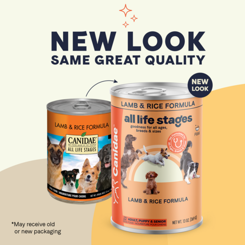 Canidae All Life Stages Lamb and Rice Canned Dog Food (13-oz, single can)