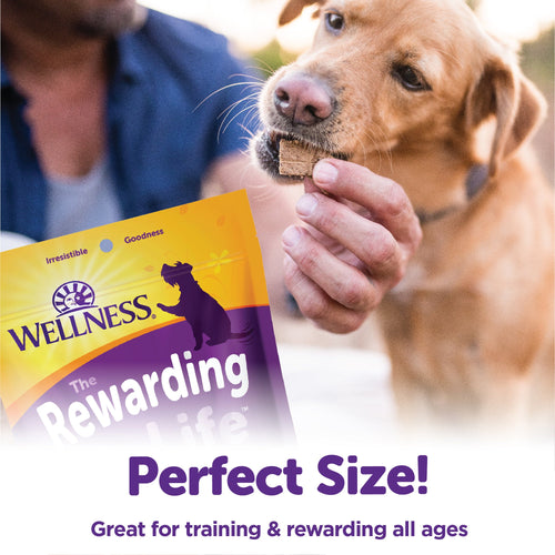 Wellness® Rewarding Life Soft & Chewy Natural Dog Treats (8-oz)
