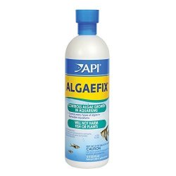 API Algae Fix 16 oz. Bottle (16oz)