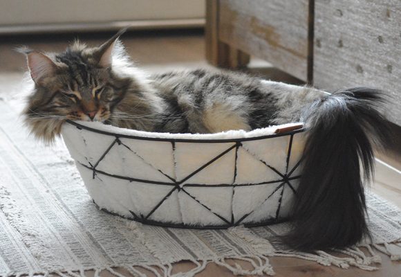 BeOneBreed Cat Metal Basket