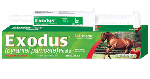 Bimeda Exodus® Paste (pyrantel pamoate) (23.6 gm)