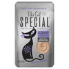 Tiki Cat® Special™ LIGHT Chicken, Turkey & Pumpkin Recipe in Broth (2.4 oz)
