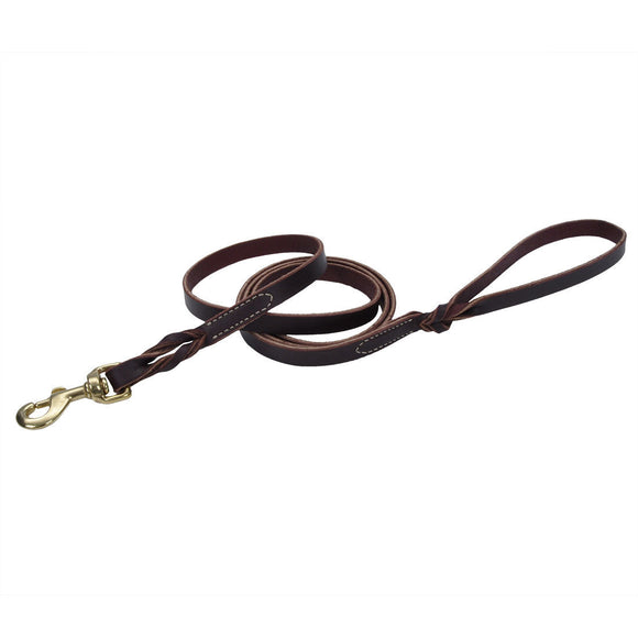 Coastal Pet Products Circle T Latigo Leather Twist Dog Leash with Solid Brass Hardware (6')